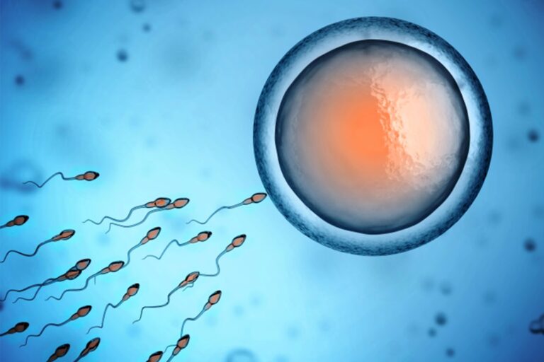 inseminazione_artificiale
