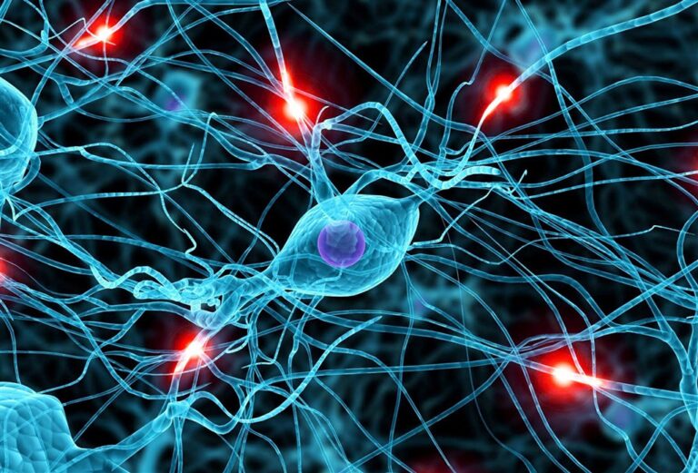 neurologia